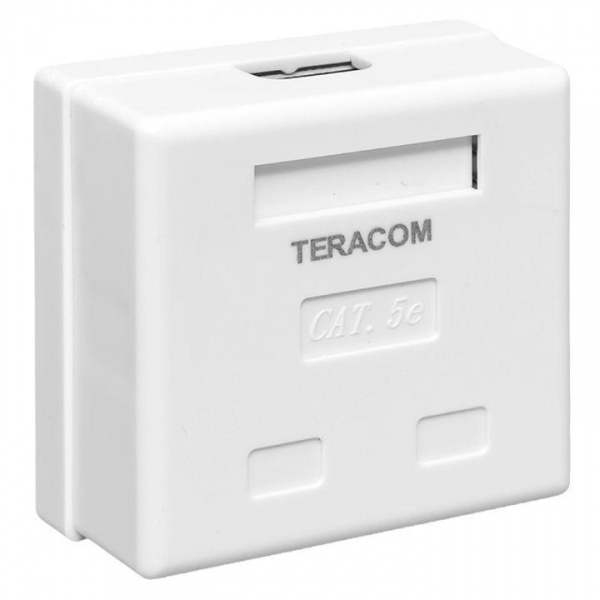 Розетка настенная TERACOM кат.5E неэкранированная 2 порта RJ-45 Dual IDC бел. EKF TRC-WBOX-2RJ45-5EUTP-WH